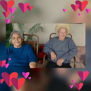 Meet your Posher, Mirna